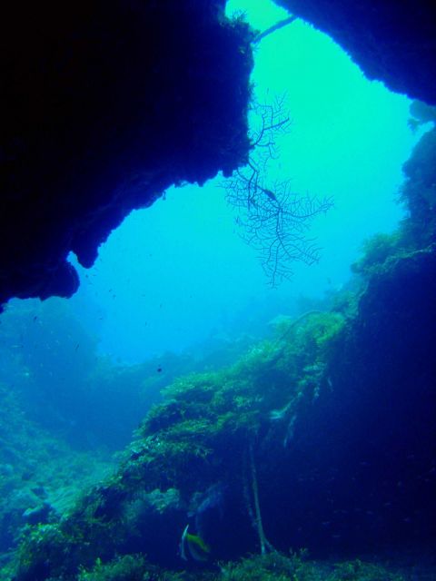 Hole in side of Sankisan Maru. Picture