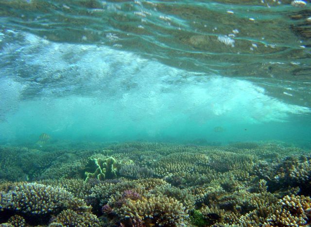 Shallow reef with breaking wave as seen from below. Picture
