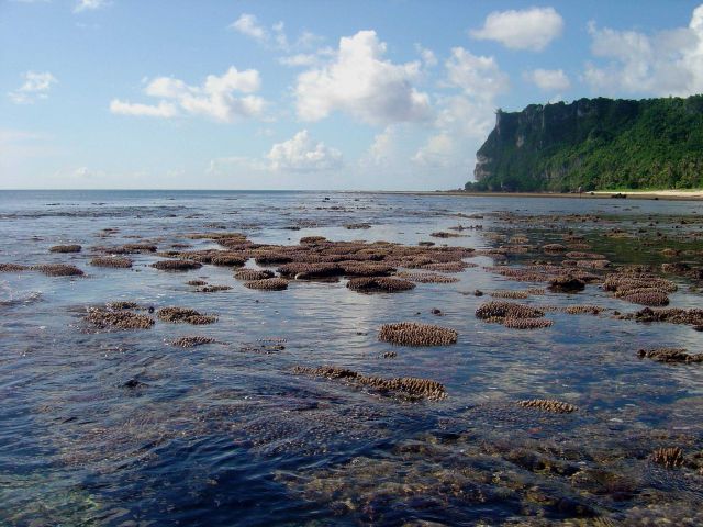 Shallow reef baring at low tide Picture