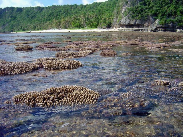 Shallow reef baring at low tide Picture