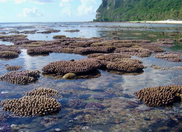 Shallow reef baring at low tide Picture