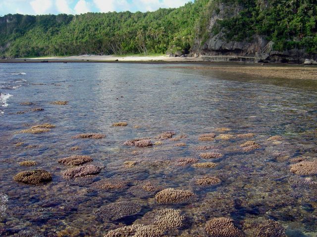 Shallow reef baring at low tide Picture
