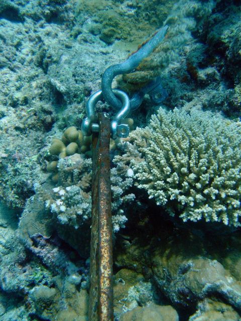 Anchor on live reef destroying corals and adding to overall reef stress. Picture