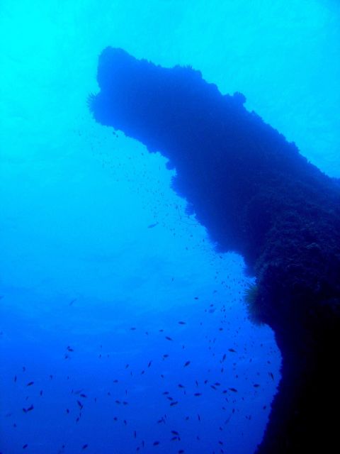 Appears to be growth encrusted part of ship Picture