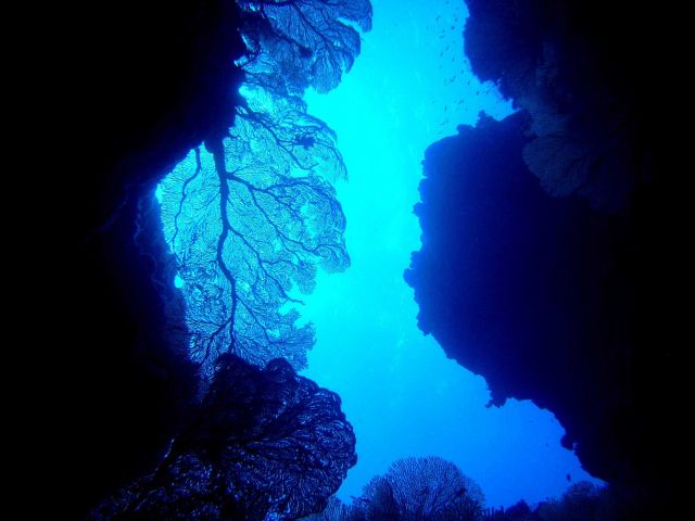 The view towards the surface from a crevasse Picture