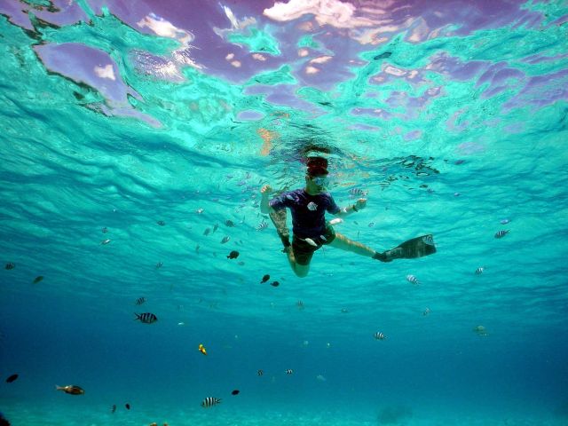 Snorkeler surrounded by reef fish. Picture
