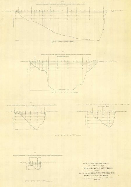 Depth profiles across various sections of the Gulf of Mexico showing temperature at various set depths Picture