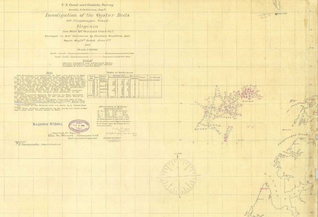 Title block to Investigation of the Oyster Beds off Pungoteague Creek, Virginia Picture