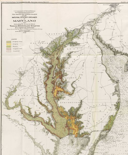 Map of Natural Oyster Grounds of Maryland by the U.S Picture