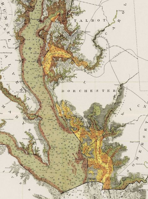 Section of map of Natural Oyster Grounds of Maryland. Picture