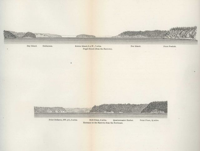 Ferdinand Westdahl view of Tacoma Narrows. Picture
