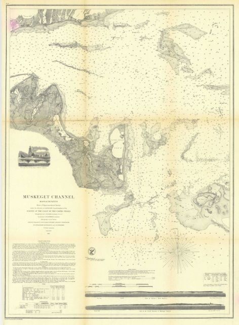 Annual Report 1859 Picture