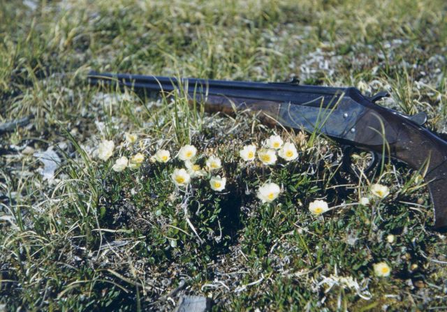 Guns and roses or at least some kind of flower. Picture