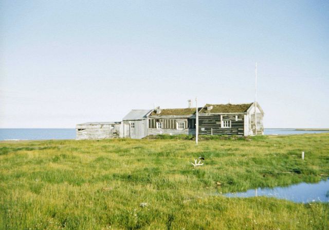 Abandoned fur trapper's facilities at Beechey Point. Picture