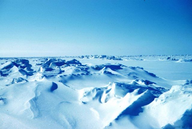 Winter sea ice terrain of the Beaufort Sea Picture