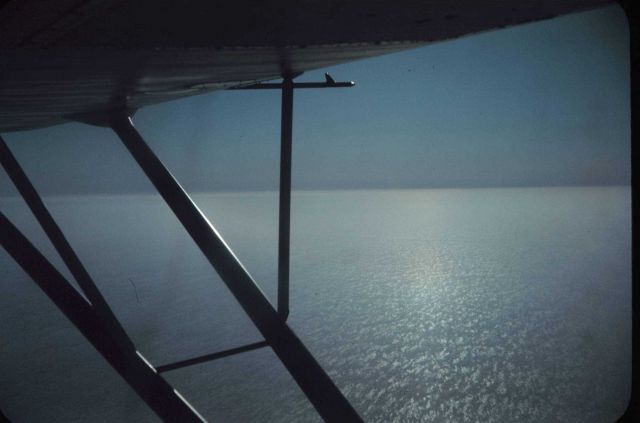 Flying over the lagoon ice at Tigvariak Island Picture