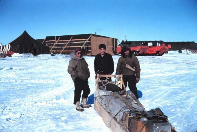Dog sled at Tigvariak Island Picture