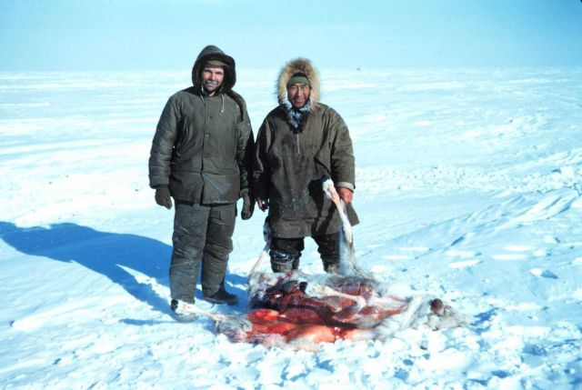 Butchering caribou Picture