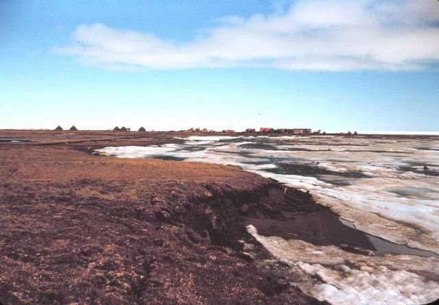 Looking down the shoreline of Tigvariak Island towards the camp Picture