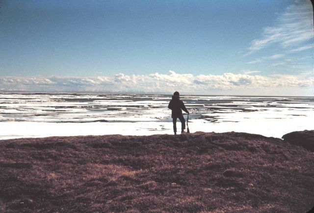 Watching the ice melt and breakup on the north shore of Tigvariak Island Picture