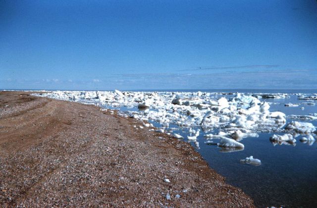 Ice along the shore at Cross Island Picture