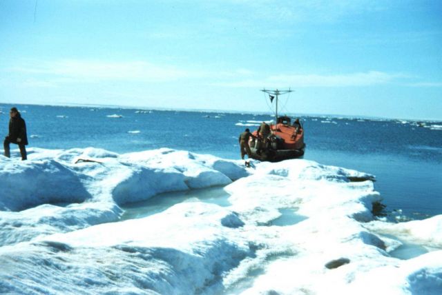 Collecting fresh water from ice berg Pools of fresh water collect on top of melting ice bergs Picture