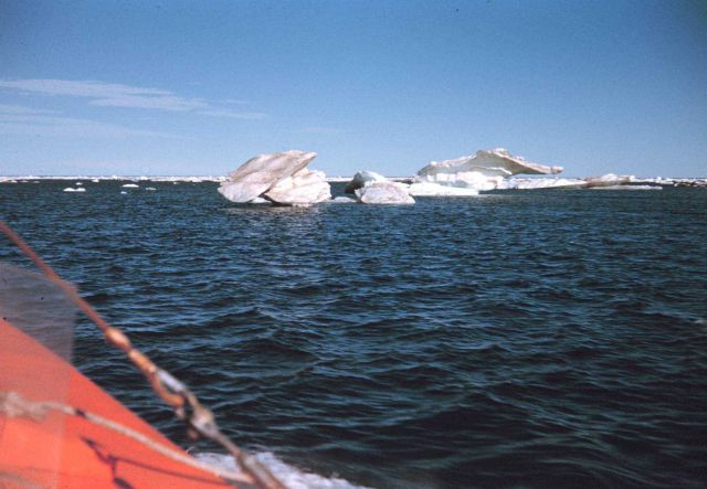 Ice bergs seen from survey launch after summer melt Picture