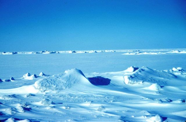 The sea ice off of Tigvariak Island Picture