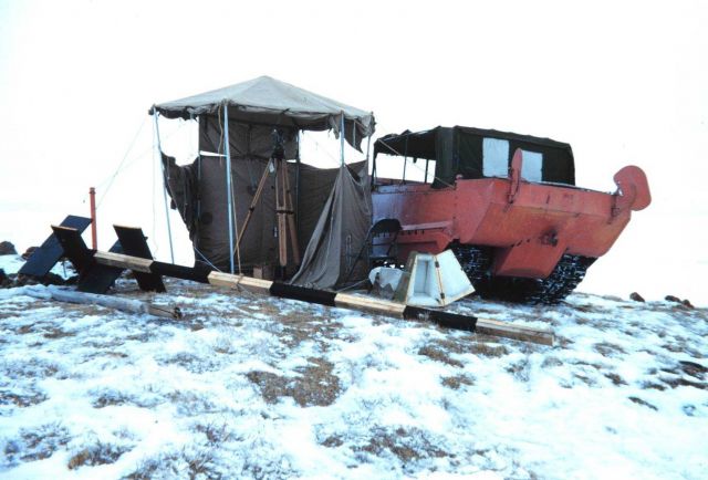 Weasel at observing tent Picture