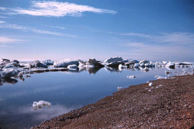 Ice at Cross Island Picture