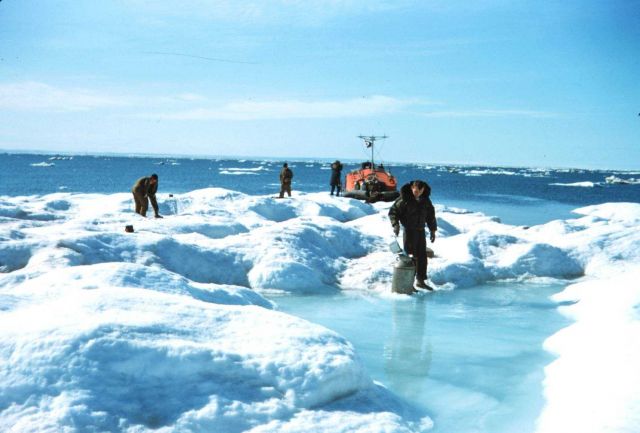 Collecting fresh water on top of an ice berg Pools of fresh water form on the top of the berg Picture