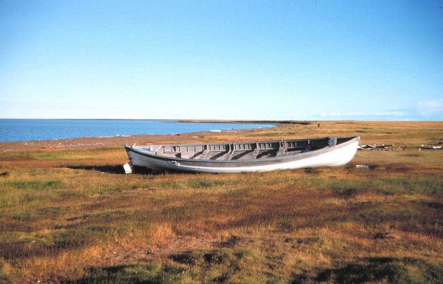 An abandoned whale boat from years before Picture