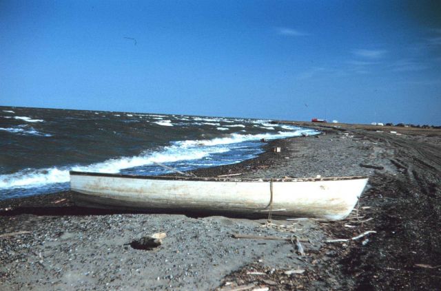 An abandoned native skiff Picture