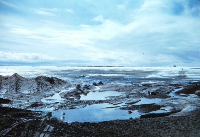 The spring melt at Oliktok Point Picture