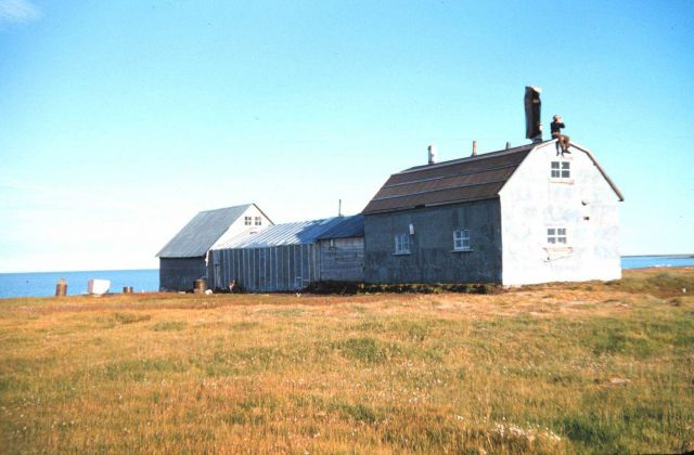 Abandoned fur traders' outpost on the Arctic coast Picture