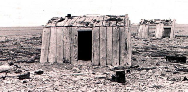 Abandoned shacks that might have helped some forlorn souls survive the winter Picture