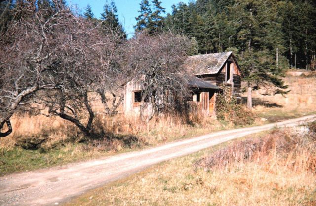 An old settler's shack in the San Juan Islands - at Garrison Bay State Park Picture