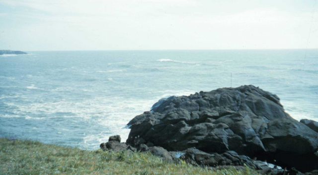 Near Depoe Bay Picture