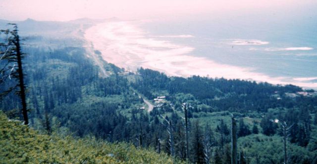 The view to the south at Cape Foulweather Picture