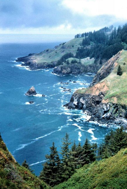 The lookout at Otter Crest Picture
