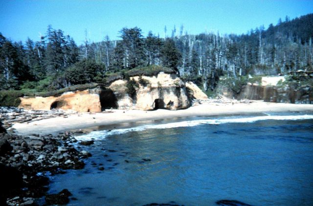 Sea caves in the rocks of the Oregon coast Picture