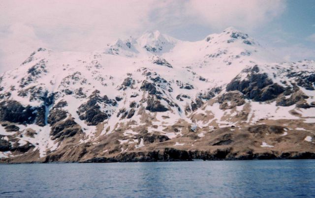 Shoreline of Adak Island Picture