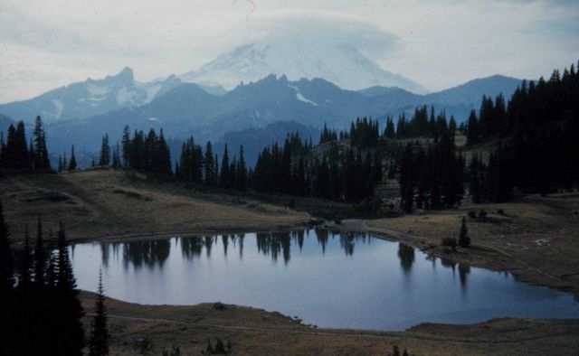 Wave cloud over Mount Rainier Picture