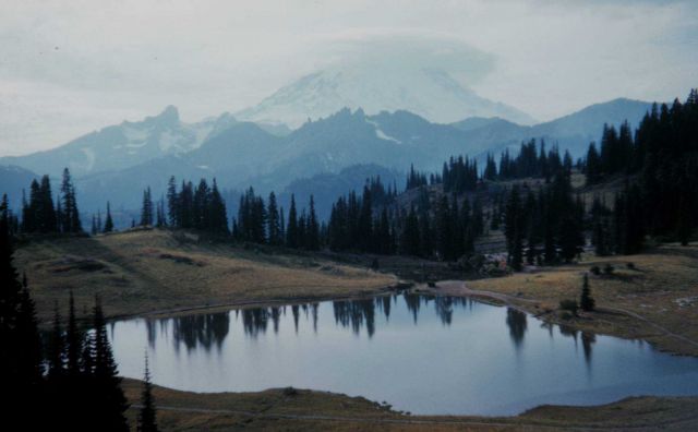 Wave cloud over Mount Rainier Picture