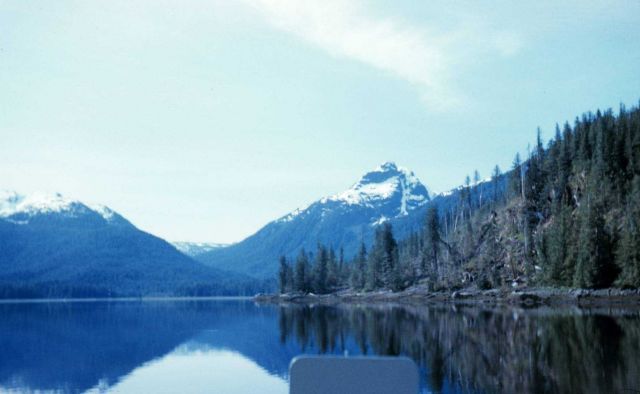 The upper reaches of the inlet Picture