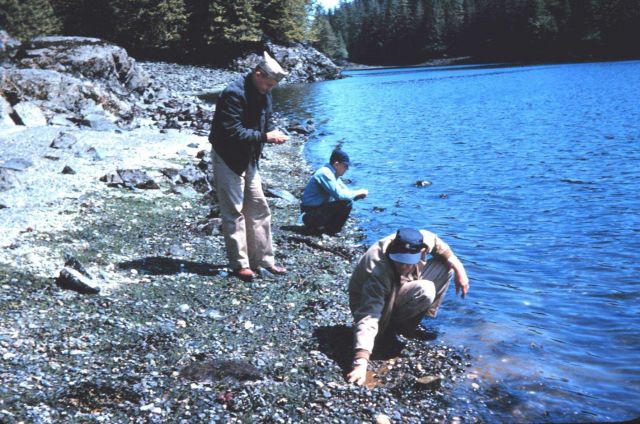 Hunting for critters at Old Kasaan Survey crew off the PATHFINDER Picture