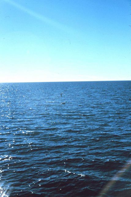 A drift buoy with radar reflector for studying surface currents. Picture