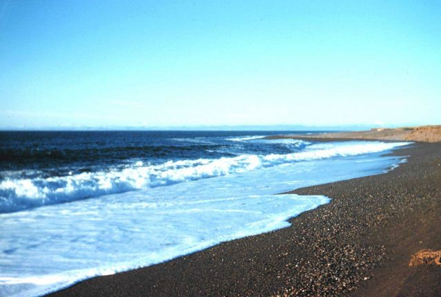 The shore at Point Hope Picture
