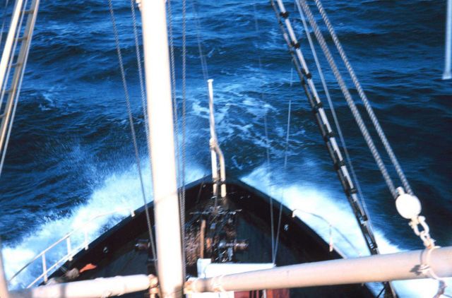 The bow of the Bureau of Commercial Fisheries Ship BROWN BEAR. Picture
