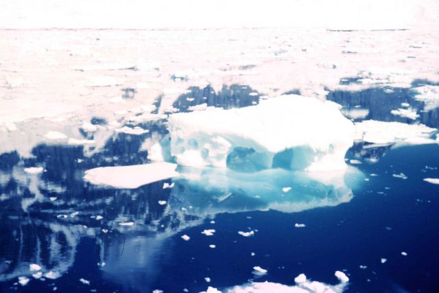 Ice in Peltier Channel - large white ice berg is 50 to 100 feet high Picture
